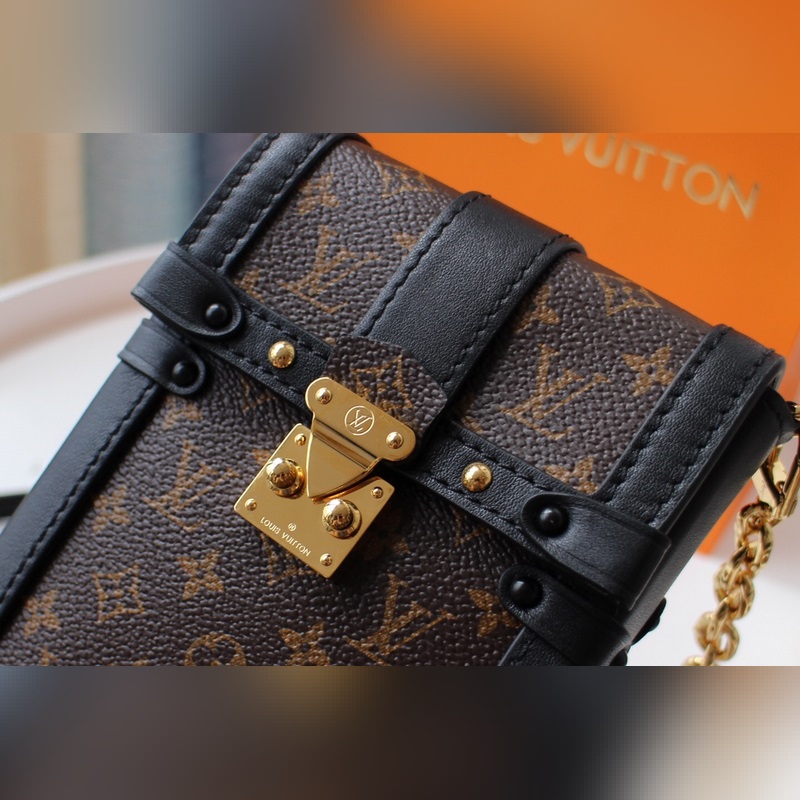 Louis Vuitton Vertical trunk pochette (M63913)